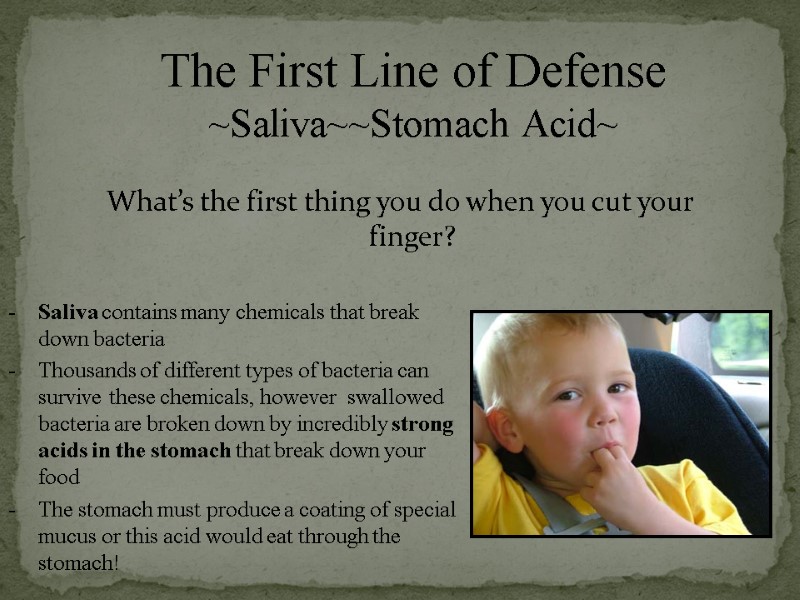 The First Line of Defense ~Saliva~~Stomach Acid~  What’s the first thing you do